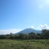 Eksplorasi Alam Liar di Taman Nasional Baluran