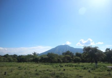 Eksplorasi Alam Liar di Taman Nasional Baluran