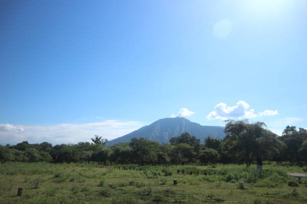 Eksplorasi Alam Liar di Taman Nasional Baluran