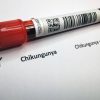 Kasus Suspek Chikungunya 2025 Melonjak, Kemenkes Waspada