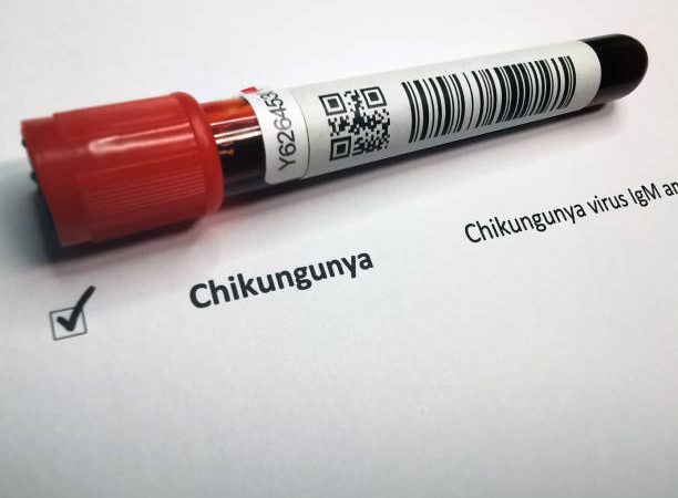 Kasus Suspek Chikungunya 2025 Melonjak, Kemenkes Waspada