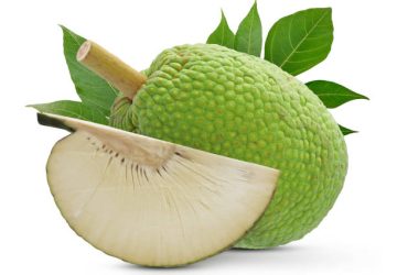 Hati-hati! Orang dengan Kondisi Ini Sebaiknya Hindari Sukun