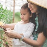 Manfaat Berkebun Bersama Anak untuk Mengenal Ekosistem: Jendela Ilmu di Halaman Rumah