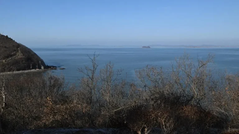 Eskalasi Militer Di Semenanjung Korea Pyongyang Siagakan Artileri Baru Seoul Di Garis Depan