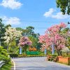 Bunga Mekar di Gerbang Daerah, Akankah Harapan Juga Mekar di Muara Enim?