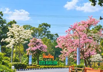 Bunga Mekar di Gerbang Daerah, Akankah Harapan Juga Mekar di Muara Enim?